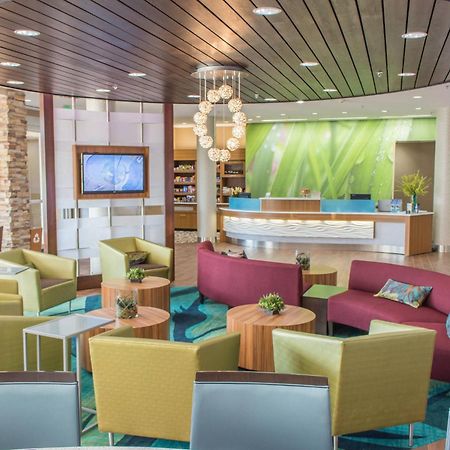 Springhill Suites By Marriott Sumter Exterior photo